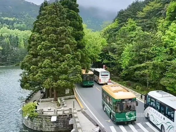 格力钛新能源铛铛车