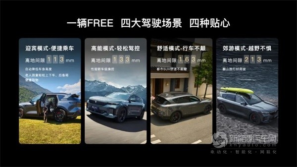 岚图FREE 318