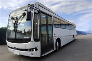“彩虹之国”将迎来首支电动大巴车队 比亚迪获南非120台电动大巴订单