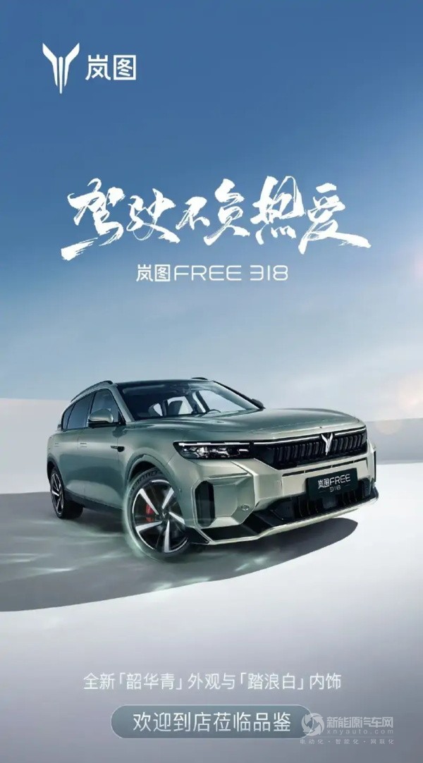 岚图FREE 318